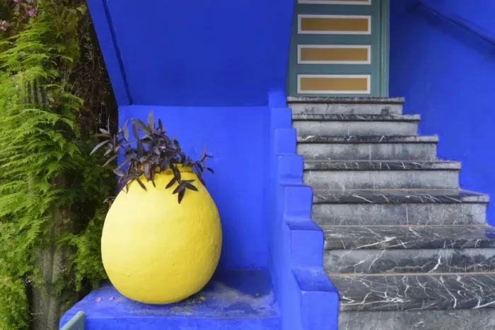 Framed Print : The blue and yellow contrast found in the Majorelle garden. Marrakech, Morocco