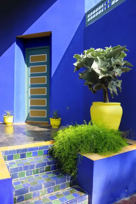 Framed Print : The blue and yellow contrast found in the Majorelle garden. Marrakech, Morocco Framed Print : The blue and yellow contrast found in the Majorelle garden. Marrakech, Morocco