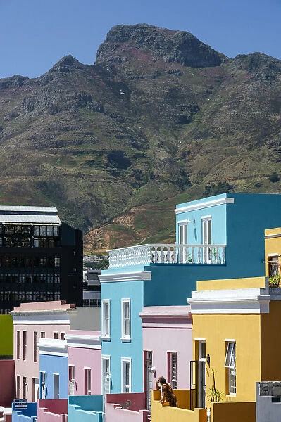 Bo-Kaap Neighbourhood, Cape Town, Western Cape, South Africa