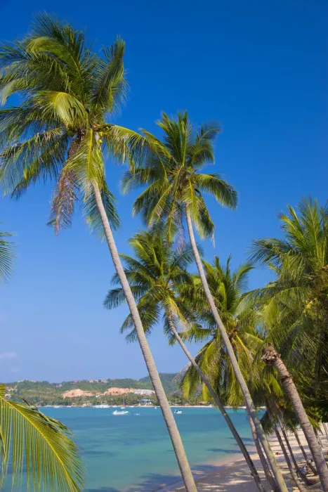 Framed Print : Bo Phut beach, Koh Samui, Thailand Framed Print : Bo Phut beach, Koh Samui, Thailand