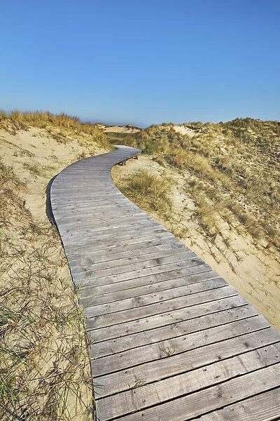 Boardwalk through dunes - Germany, Schleswig-Holstein, North Frisia, Amrum, Kniepsand