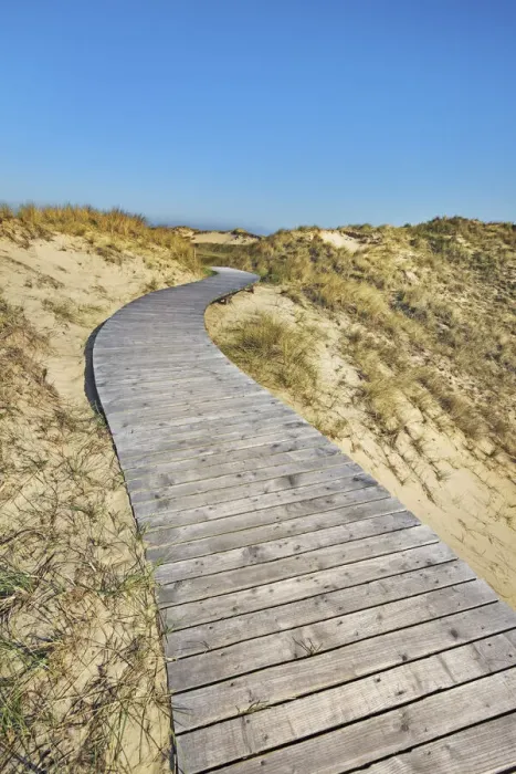 Framed Print : Boardwalk through dunes - Germany, Schleswig-Holstein, North Frisia, Amrum, Kniepsand