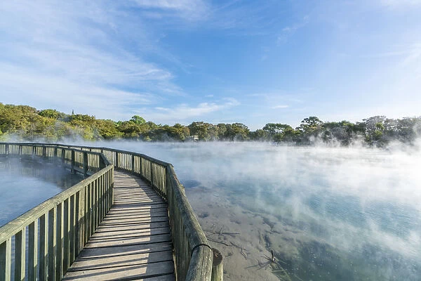 Boardwalk over a hot sulphurous pool. Kuirau Park, Rotorua, Bay of Plenty region