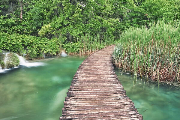 Boardwalk over karst lake in Plitvice National Park - Croatia, Lika-Senj