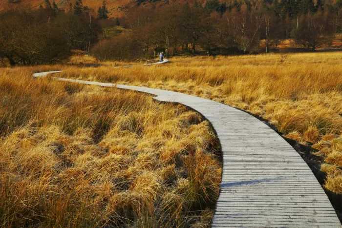 Framed Print : Boardwalk Through Meadow, Borrowdale, Lake District National Park, Cumbria, England Framed Print : Boardwalk Through Meadow, Borrowdale, Lake District National Park, Cumbria, England