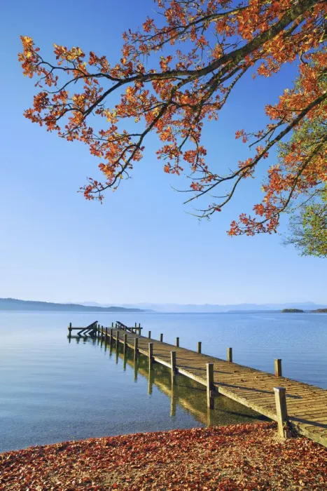 Framed Print : Boardwalk and oak in autumn - Germany, Bavaria, Upper Bavaria, Starnberg, Possenhofen - Funfseenland, Lake Starnberg Framed Print : Boardwalk and oak in autumn - Germany, Bavaria, Upper Bavaria, Starnberg, Possenhofen - Funfseenland, Lake Starnberg
