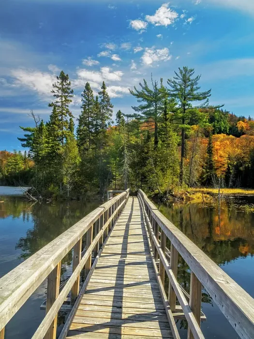 Framed Print : Boardwalk at Rustle Lake on the Trapper's Trail in Lake Superior Provincial Park, Ontario, Canada Framed Print : Boardwalk at Rustle Lake on the Trapper's Trail in Lake Superior Provincial Park, Ontario, Canada