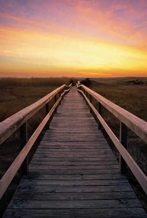 Framed Print : Boardwalk at sunrise, Cape Cod, Orleans, Massachusetts, USA