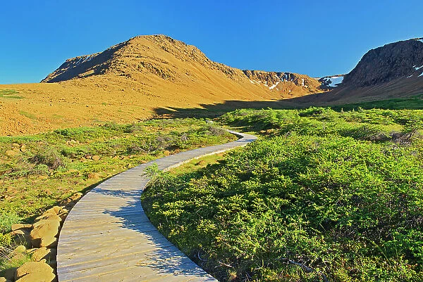 Boardwalk on trail at the Tablelands at sunset. Earth's mantle exposed. Gros Morne National Park Newfoundland & Labrador, Canada