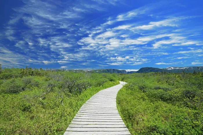 Framed Print : Boardwalk at Western Brook Pond Gros Morne National Park, Newfoundland & Labrador, Canada