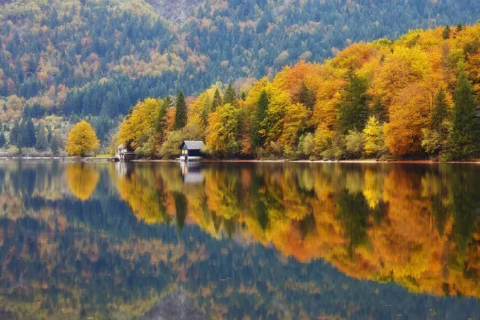 Framed Print : Boat House on Lake Bohinj in Autumn, Julian Alps, Slovenia Framed Print : Boat House on Lake Bohinj in Autumn, Julian Alps, Slovenia