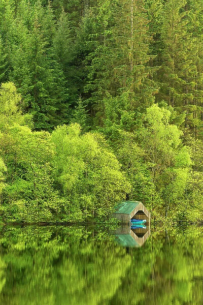 Boat parked in hut amongst trees on shore of Loch Ard, Aberfoyle, Stirling, Perthshire, Scotland, UK