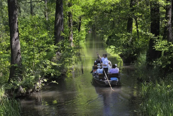 Framed Print : Boat trip on the Spreewald, Lehde, Lubbenau, Spreewald, Biosphere Reserve, Brandenburg, Germany, Europe Framed Print : Boat trip on the Spreewald, Lehde, Lubbenau, Spreewald, Biosphere Reserve, Brandenburg, Germany, Europe