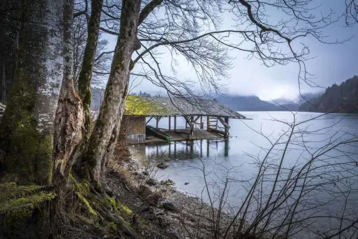 Framed Print : Boathouse at Lake Alpsee in the rain, Schwangau, Allgaeu, Bavaria, Germany