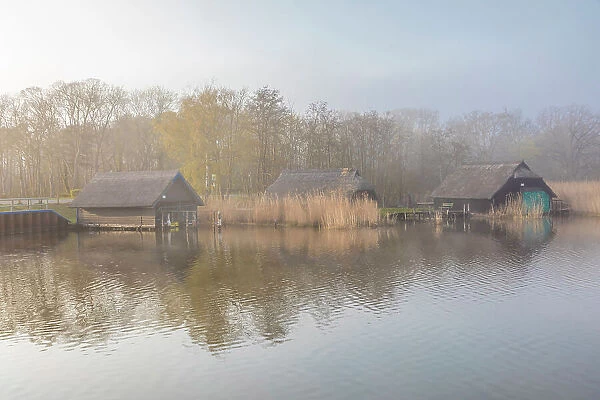 Boathouses in the fog in the Bodden harbour of Prerow, Mecklenburg-West Pomerania, North Germany, Germany