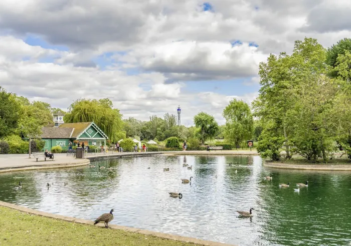 Framed Print : The Boating lake, Regents park, London, England, UK Framed Print : The Boating lake, Regents park, London, England, UK