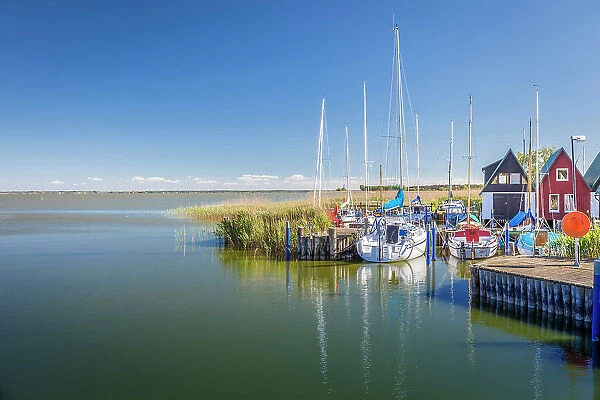 Boats in the Bodden harbour of Althagen, Mecklenburg-Western Pomerania, Baltic Sea, North Germany, Germany
