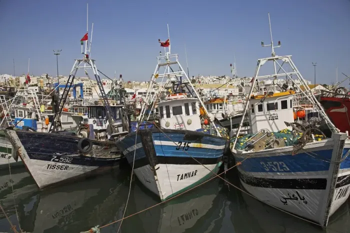 Framed Print : Boats moored in the busy fishing port in Tangier, Morocco Framed Print : Boats moored in the busy fishing port in Tangier, Morocco