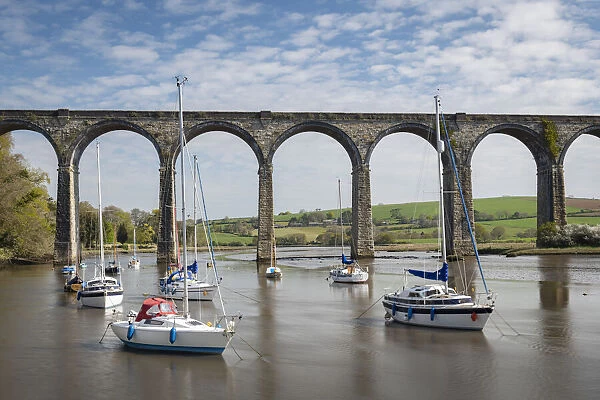 Boats moored on the River Tiddy beneath the St Germans viaduct, St Germans, Cornwall