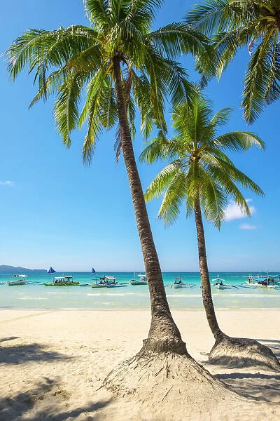 Boats and palm trees on White Beach, Boracay Island, Aklan Province, Western Visayas