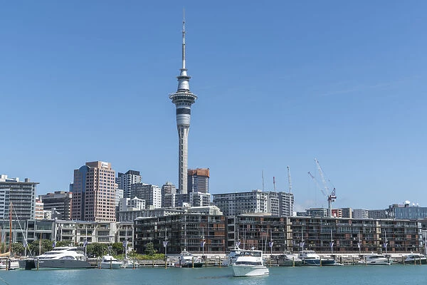 Boats in Viaduct Basin and Auckland Central Business District in the background. Auckland City, Auckland region