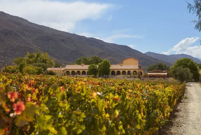 Framed Print : The Bodega Colomewinery estancia and the vineyards in autumn, near Molinos