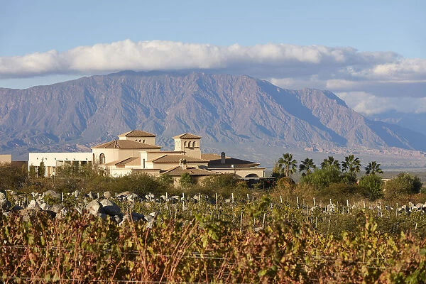 The 'Bodega Piattelli'winery surrounded by its vineyards in autumn
