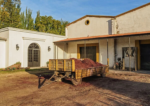 Bodega Viamonte, winery, Lujan de Cuyo, Mendoza Province, Argentina