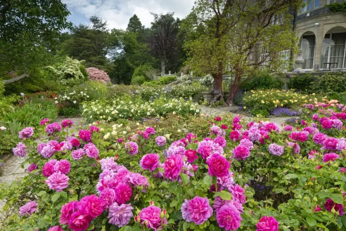 Framed Print : Bodnant Gardens, near Tal-y-Cafn, Conwy, Wales