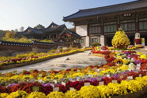 Bongeunsa Temple grounds in the Gangnam District of Seoul, South Korea