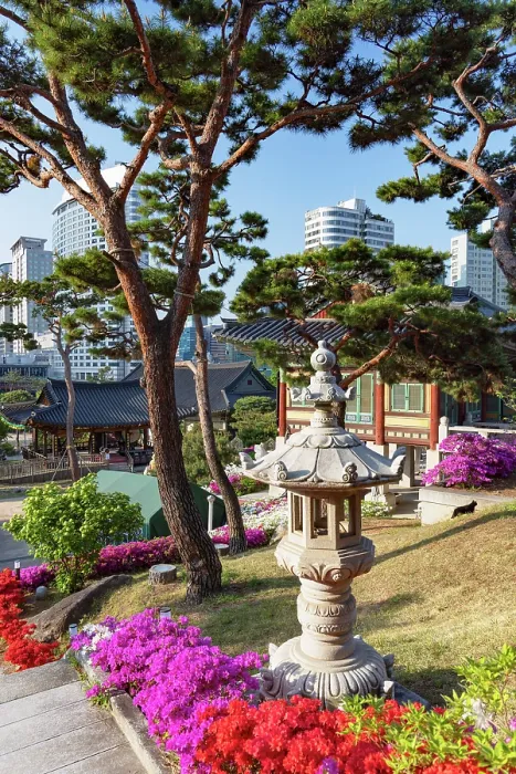 Framed Print : Bongeunsa Temple and skyscrapers, Gangnam, Seoul, Seoul Metropolitan Area, South Korea Framed Print : Bongeunsa Temple and skyscrapers, Gangnam, Seoul, Seoul Metropolitan Area, South Korea