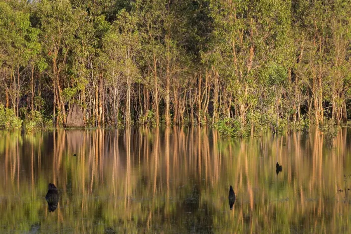 Framed Print : Bore Billabong, Bamurru Plains, Northern Territory, Australia Framed Print : Bore Billabong, Bamurru Plains, Northern Territory, Australia