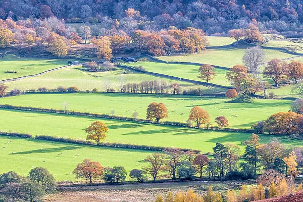 Borrowdale valley in autumn, near Keswick and Derwentwater, Cumbria, England