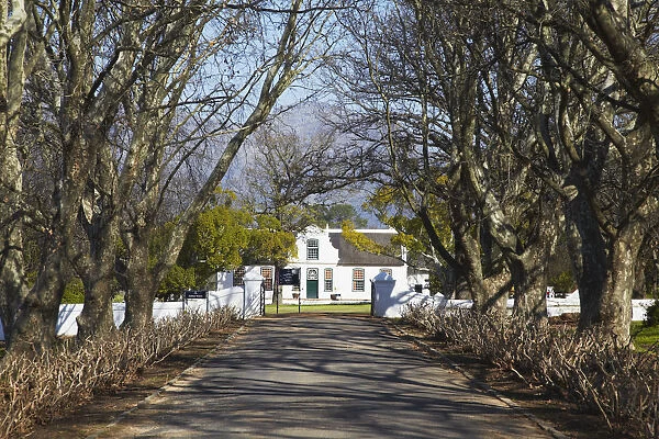 Boschendal Wine Estate, Franschhoek, Western Cape, South Africa