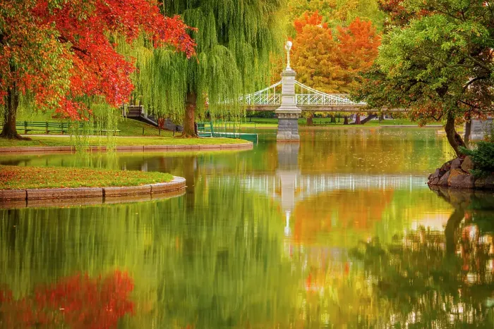 Framed Print : Boston Common and Public Garden Boston, Massachusetts, USA Framed Print : Boston Common and Public Garden Boston, Massachusetts, USA