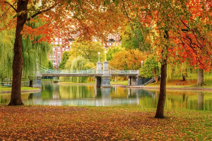 Framed Print : Boston Common and Public Garden Boston, Massachusetts, USA Framed Print : Boston Common and Public Garden Boston, Massachusetts, USA