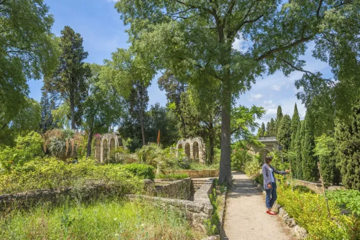 Framed Print : Botanical garden with tourist, Montpellier, Longuedoc-Roussillon, Herault, France Framed Print : Botanical garden with tourist, Montpellier, Longuedoc-Roussillon, Herault, France