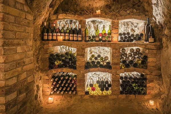 Bottles of wine arranged inside old wine cellar in Vrbice, Breclav District, South Moravian Region, Moravia, Czech Republic