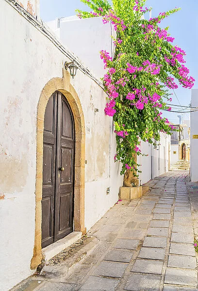 Bougainvillea in an alley in Lindos, Dodecanese Islands, Greece