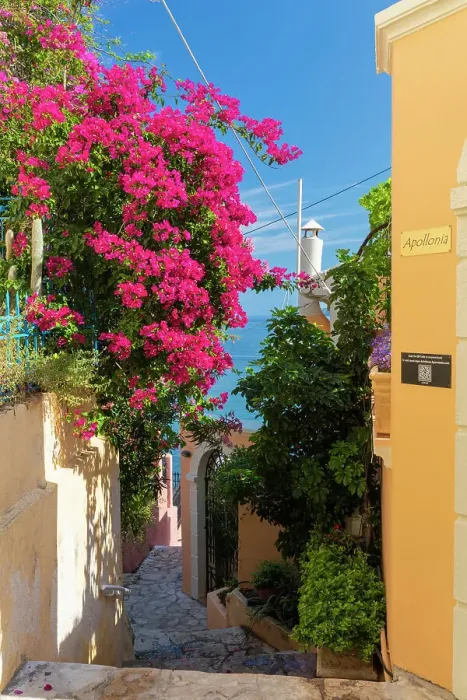 Framed Print : Bougainvillea in Assos, Kefalonia, Ionian Islands, Greece Framed Print : Bougainvillea in Assos, Kefalonia, Ionian Islands, Greece