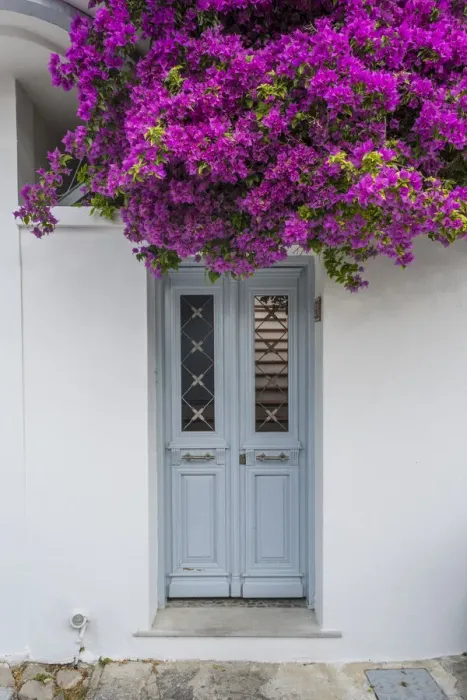 Framed Print : Bougainvillea & door, Skiathos Town, Skiathos, Sporade Islands, Greece Framed Print : Bougainvillea & door, Skiathos Town, Skiathos, Sporade Islands, Greece