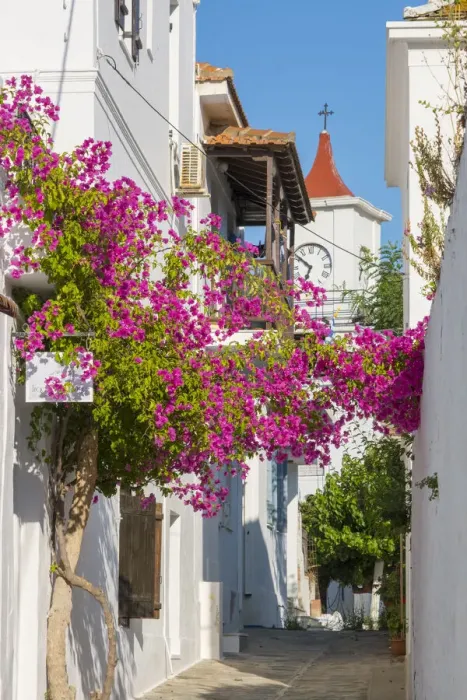 Framed Print : Bougainvillea, Skopelos Town, Skopelos, Sporade Islands, Greece Framed Print : Bougainvillea, Skopelos Town, Skopelos, Sporade Islands, Greece