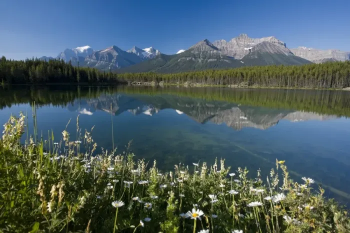 Framed Print : Bow Mountain Range and Herbert Lake Framed Print : Bow Mountain Range and Herbert Lake