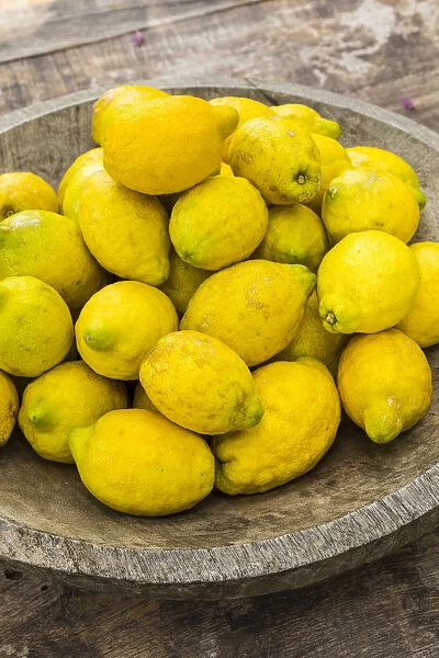 Bowl of Lemons, Soller, Serra de Tramuntana, Mallorca (Majorca), Balearic Islands, Spain