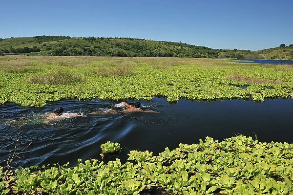 Boys swimming in lake Lagune, Nicaragua, Central America