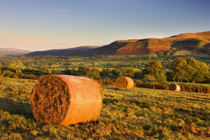 Framed Print : Bracken bales on Mynydd Illtud Common in the Brecon Beacons National Park, Powys, Wales
