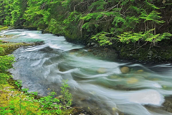 Brandywine Creek, Brandywine Falls Provincial Park, British Columbia, Canada