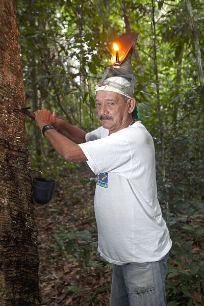 Brazil, Amazon, Acre state, Xapuri, Reserva Extrativista Chico Mendes, Rubber tapper