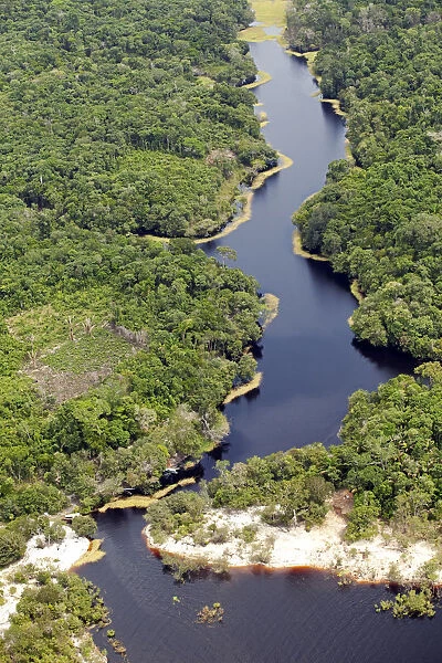 Brazil, Amazon, Aerial view of Amazon forest and a black-water creek (Igarape)