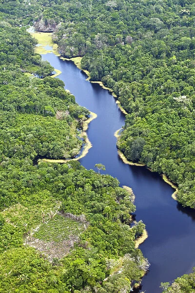 Brazil, Amazon, Aerial view of an igapo (black water creek) in the Amazon forest near